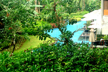 Swimmingpool an den Suiten mit direktem Zugang im Melia Bali Villas & Spa Resort.
